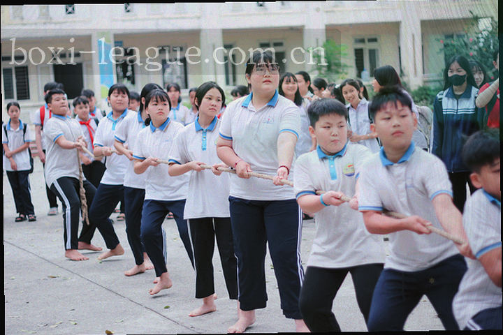 主客场胜率折线图与会员等级进度面板